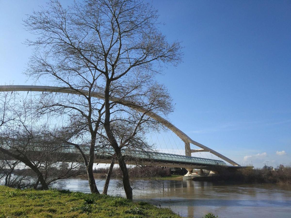 Mirador De Predicadores Zaragoza Ngoại thất bức ảnh